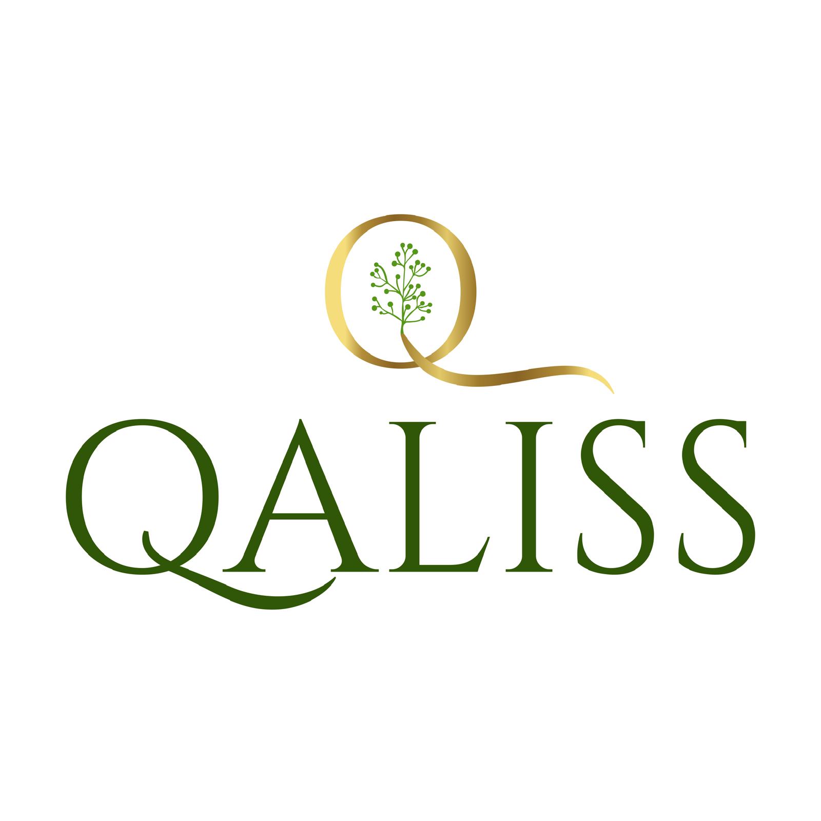 QALISS